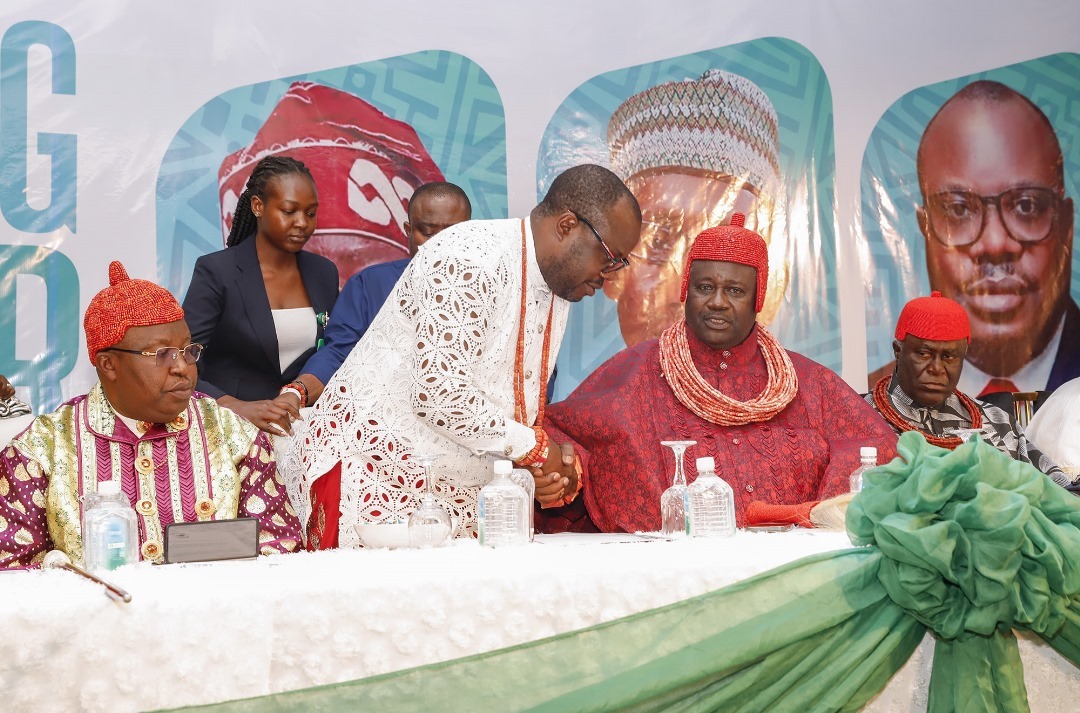 2027: Delta Niger hanya akan mendukung Tinubu — Ketua PAP